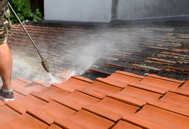 Best Affordable Pressure Washing  in Wallace, FL